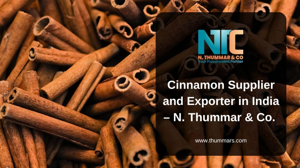 Cinnamon Supplier and Exporter in India – N. Thummar & Co.