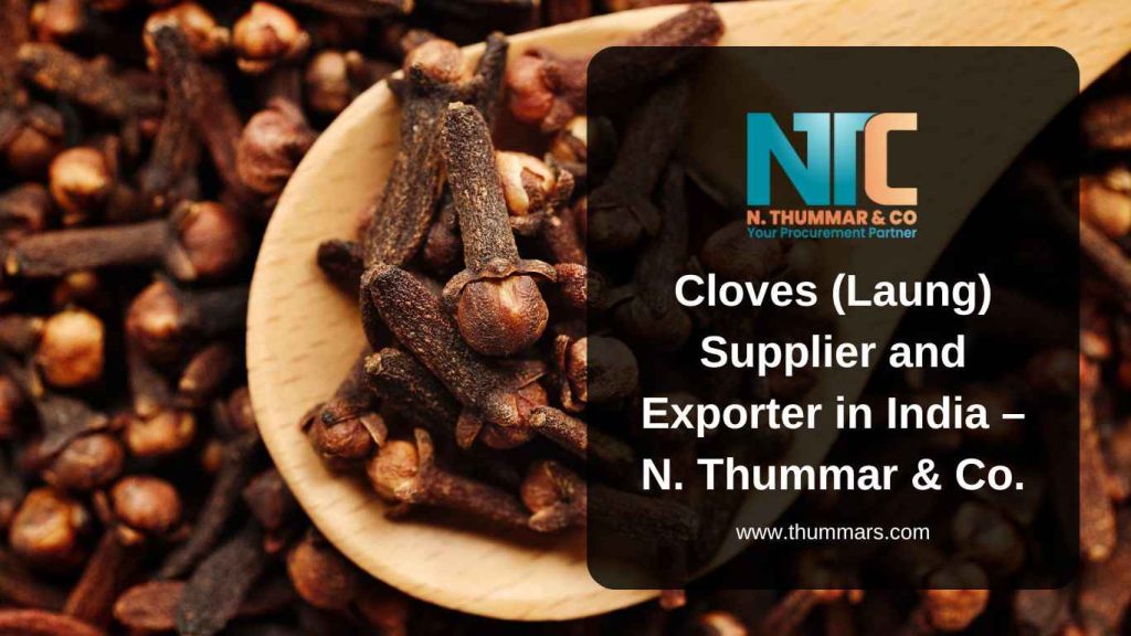Cloves (Laung) Supplier and Exporter in India – N. Thummar & Co.